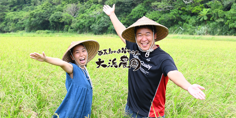 会社概要 | 西表島のお米やさん 大浜農園